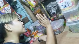 Adorable dog trades high-five for candy