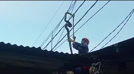 Not the usual power cable hazard: Jakarta firefighters rescue 5m snake from overhead wires