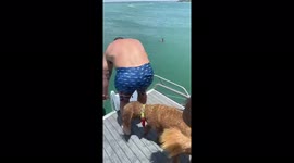 Tucker the dog wanted to go down the waterslide and have fun too!