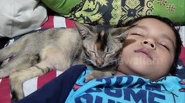 When a beloved cat sleeps very soundly on the head of a child who is also sleeping soundly