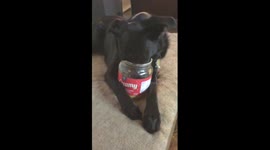 Dog loves peanut butter