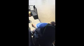 Saving cattle