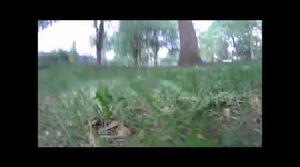 The Most Epic Squirrelie Ever