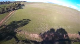 Drone crashes while chasing a kangaroo