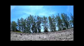 Seagull nabs camera, flies off with it, and then drops it.