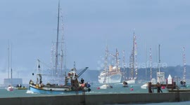 Cowes 200 years of royal yacht club, royal family, king of spain and norway