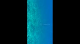 Snorkeling at Paradise Cove, Deadmans Reef, in the Grand Bahamas