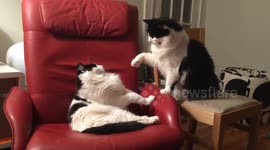 Slow Karate