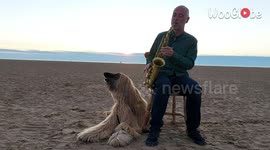 Music-loving dog joins in as his owner plays saxophone on UK beach