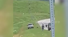 Watch this Oklahoma State Trooper try to rope in a COW from the side of a highway