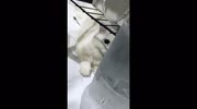 temp