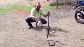 Venomous cobra hiding under cupboard is removed from resident's home in India
