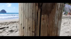 short atmosphere on a Caribbean beach