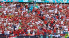 Hungarian fans celebrating the goal of their national team against France