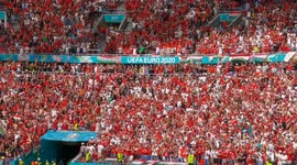 Hungarian fans go wild after their team score against football giants France