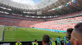 End of the game Hungary-France, the hungarian goalkeeper exults while some French fans express their anger by throwing bottles towards the pitch