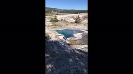 Today we found a Skeleton in a hot spring on the boardwalk around old faithful