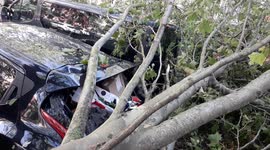 Roof blown away and cars smashed by trees in a Paris suburb after extreme weekend weather