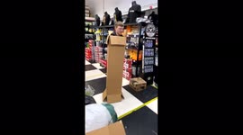 'Jack in a Box... Box Falls on the Ground *Ouch* '