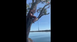 'Rib-Tickling Rope Swing Fail Caught on Camera in Sydney '