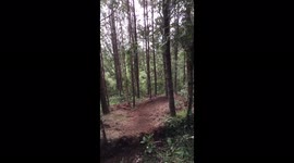 'Ouch-Inducing MTB Crash in Medellin, Colombia '