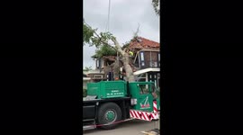 Netherlands: Crews Clear Downed Trees, Debris  After Powerful Winds Blast Utrecht Town 3