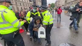 Arrest made as protesters clash with London police during anti-lockdown rally