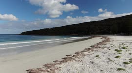 Low fly over Middleton Beach towards the Jetty in Albany, Western Australia. Seaweed, seagulls and beautiful clear water