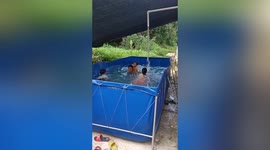 Chinese father uses plastic sheets to form makeshift swimming pool for his kids