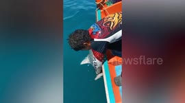 Fisherman save shark tangled in cable from boat