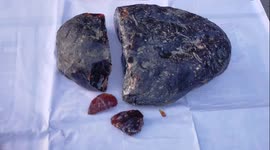 Ambergris worth over $260,000 seized by officials in southern India