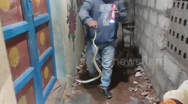 Cobra found lurking near doorstep of resident's home in southern India