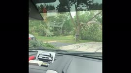 US: Tornado-Producing Storm Leaves Significant Damage In Chicago Suburbs 3