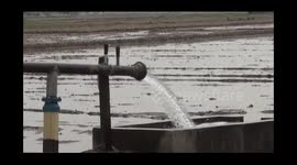 My water, my heritage is a people-friendly scheme of the government.    The government is giving incentive amount of seven thousand rupees per acre to the farmers growing low cost water crops.