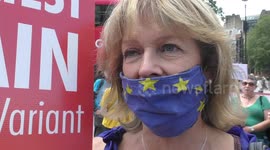 Protest against the fascist state of the United Kingdom, We want to join the European Union.
