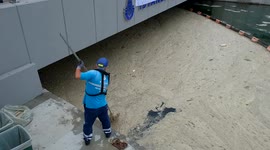 Mucilage Cleaning Has Started In The Sea Of Marmara