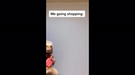 'What's Something Your Pet Dislikes the Most - Ferret Edition'