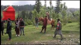 Unique Marriage :Ancient times marriage in 21st Century in kashmir forests