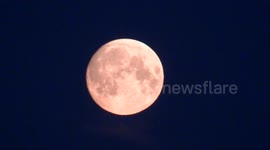 Strawberry moon appeared in June 2021 over St Petersburg, Russia