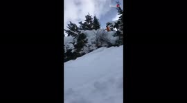 'Cool Ski Jump Attempt Results in a Comedic Fail'