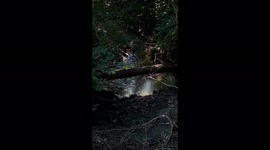 This little river is a very relaxing thing to do. It’s by our house and I film everyday