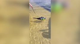 This adorable cat LOVES water and enjoys nothing more than going for a swim.