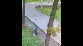 Russian child falls through manhole cover into sewer while walking with mother