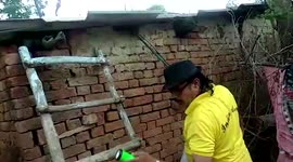 Cobra hiding inside house gets rescued in central India