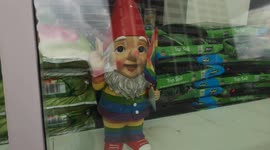 LGBTQ Gnomes In ASDA for Pride Month