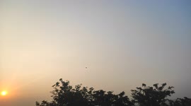 Natural green agriculture formaring land and evening golden sunset beautiful 4k footage