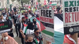 Pro-Palestine, pro-BLM, anti-government protest gathers outside UK parliament