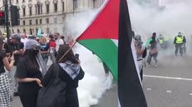 'Free Palestine' protesters pose for photos in smoke bomb cloud outside UK parliament