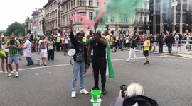Free Palestine protesters release coloured smoke as they pose for photos outside UK parliament