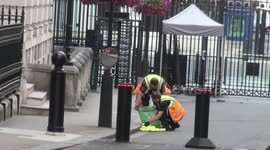 Cleaners pick up tennis balls thrown by protesters into UK parliament's grounds